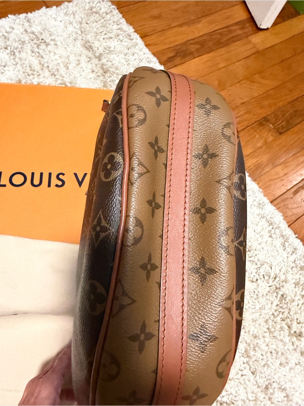 Louis Vuitton Loop Hobo - Picture 5 of 6
